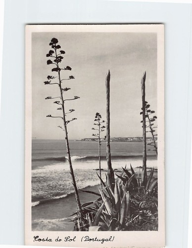 Postcard costa sol - postcard,